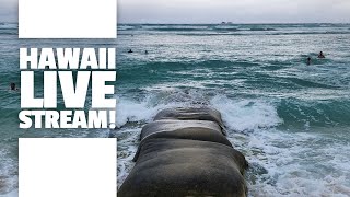 Hawaii LIVE Stream Lets do this [upl. by Ahsotal]