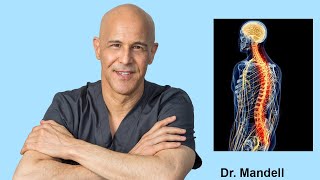 How to Heal Nerve Pain Pinched Nerve Neuropathy  Dr Alan Mandell DC [upl. by Onailil577]