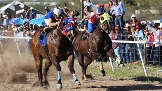 Carreras de Caballos en Cumpas 16 de Marzo 2019 [upl. by Adolph736]