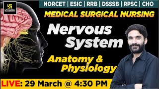 Nervous System  Anatomy amp Physiology  For NORCET  ESIC  RRB  DSSSB  RPSC  CHO Exams Raju Sir [upl. by Dorweiler842]