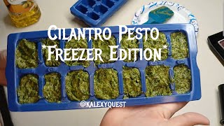 Cilantro Pesto Freezer Edition [upl. by Sklar689]