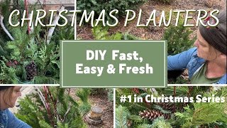 7 STEPS to DIY Christmas Outdoor PlantersReal Evergreens for Winter [upl. by Aitnyc]