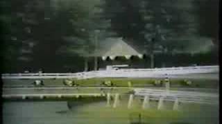 Buckpasser  1966 Travers Stakes [upl. by Llesig929]