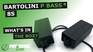 Bartolini 8S 4 String Original Series Precision Bass® Pickup What’s In The Box A CloseUp Look [upl. by Airitak]