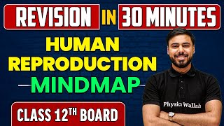 HUMAN REPRODUCTION in 30 Minutes  Class 12th CBSE  Revision MindMap [upl. by Ecerehs605]