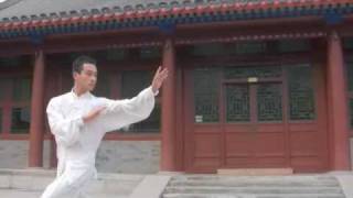 Dragon Baguazhang Pakua  Beijing Milun Kungfu School [upl. by Arvin]