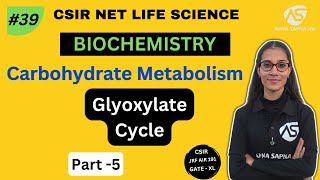 Glyoxylate Cycle  Carbohydrate Metabolism  NETLIFESCIENCE [upl. by Akema]