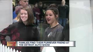 Nearly 200000 attend Detroit Auto Show over the weekend [upl. by Ira324]