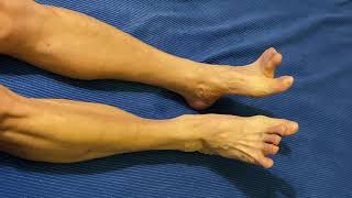 Fix Plantar Fasciitis with Simple Convenient and Effective foot ankle toes Exercisesstretches [upl. by Townsend]