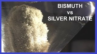 Growing SILVER Crystals on Bismuth Metal [upl. by Emmalee]