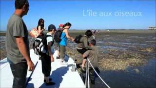 Lîle aux oiseaux  Bassin dArcachon [upl. by Uria]