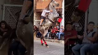 Caballo Reparando Acaba Mal🤔😱🇲🇽💯 caballos shorts caballosbailadores horse jaripeo rodeo [upl. by Maurice120]