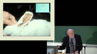 Prof William Campbell  The Story of Ivermectin [upl. by Retsevlis288]