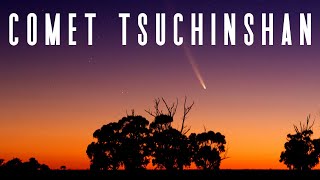 How To See Comet TsuchinshanATLAS Tonight [upl. by Athey]