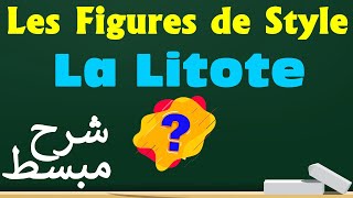 Litote شرح مبسط  Les Figures de Style dAtténuation [upl. by Rramo405]