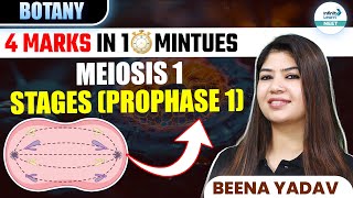 Stages of Prophase 1 of Meiosis 1  🎯4 Marks in ⏰ 10 Minutes  Class 11 botany  NEET 2025 [upl. by Belshin]