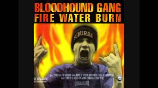 Bloodhound Gang  Fire Water Burn Donkey Edit [upl. by Savior]