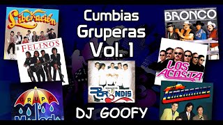 DJ GOOFY  Cumbias Gruperas Video Megamix 1 [upl. by Lyrrad992]