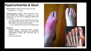 Gout Part 2  Gout Pathophysiology Presentation amp Treatment [upl. by Ellehcyt]