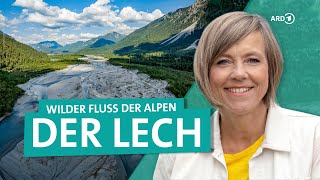 Der Lech von Österreich bis Bayern  Der letzte wilde Fluss der Alpen  ARD Reisen [upl. by Llenrap]