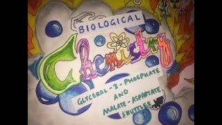 Glycerol3Phosphate and MalateAspartate Shuttles  Biological Chemistry  Video 10 [upl. by Jowett]