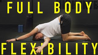 60 Minute Full Body Flexibility Routine FOLLOW ALONG [upl. by Atinat]