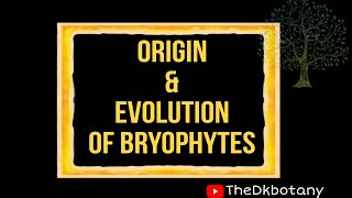 Origin and evolution of bryophytes bsc botany botany bscbotany [upl. by Templa]