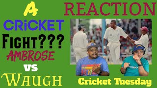 CRICKET FIGHT Ambrose v Waugh  Cricket Tuesday REACTION [upl. by Ethelind852]