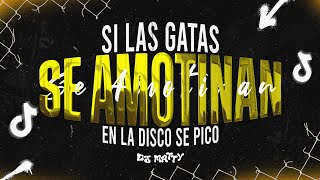 SI LAS GATAS SE AMOTINAN  DJ MATTY PEIPPER [upl. by Nevada]