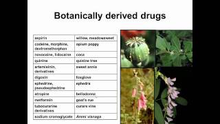 History of Botanical Medicine and Heathcare [upl. by Valentijn]