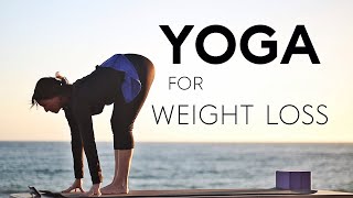 20 Minute Yoga For Weight Loss ❤️ Power Workout  💕Fightmaster Yoga Videos [upl. by Notselrahc]