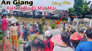 An Giang lại CĂNG ông lão 62T xiệt cá ra đi mãi mãi chỉ vì vài chục ngàn mưu sinh [upl. by Bathsheeb342]