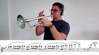 Maynard Ferguson  MacArthur Park  Daniel Leal Trumpet [upl. by Aerdnu]