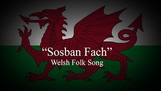 quotSosban Fachquot Little Saucepan  Welsh Folk Song [upl. by Orabla]