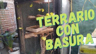 terrario para iguanas [upl. by Anigriv]