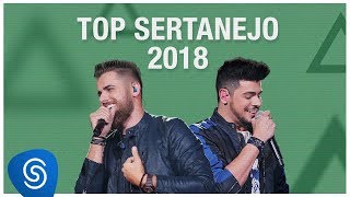 Top Lançamentos Sertanejo 2019  Os Melhores Clipes [upl. by Notxarb]