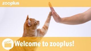 Welcome to the zooplus YouTube Channel [upl. by Qulllon334]