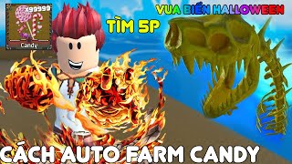 HÀNH TRÌNH TRUY TÌM VUA BIỂN HALLOWEEN CHỈ 5 PHÚT VÀ CÁCH AUTO FARM CANDY HƠN CẢ HACK KING LEGACY [upl. by Maximilian55]