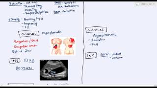 Gallbladder Diseases cholelithiasis choledecholithiasis cholecystitis cholangitis [upl. by Kenzi172]