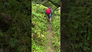 Walking to Roncesvalles Spain up and over the Pyrenees 285km177mi September 12 2024 [upl. by Africa221]