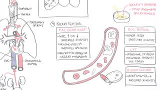 PART II  Pneumonia Transmission Causative Agents Investigations Management [upl. by Nerrol]