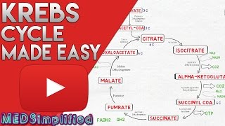 KREBS CYCLE MADE SIMPLE  TCA Cycle Carbohydrate Metabolism Made Easy [upl. by Llirrem]