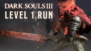 Dark Souls 3 Level 1 Run Gael Midir and the End of the World [upl. by Allac612]