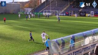 TSG 1899 Hoffenheim II vs SV Waldhof Mannheim 07 [upl. by Bencion862]