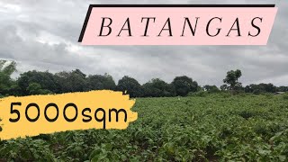 FARM LOT ALONG BRGY ROAD SAN JUAN  BATANGAS [upl. by Krauss]