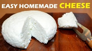 How to Make Cheese at Home  2 ingredient Easy Cheese Recipe [upl. by Arlina]