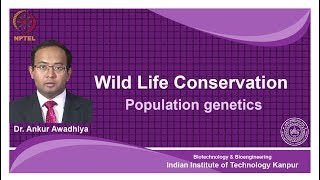 noc18bt26 Lec 26Population genetics [upl. by Lorraine]