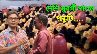 দেশি মুরগি পালন পদ্ধুতি  কৃষিচিত্র বগুড়া  Domestic chicken rearing methods [upl. by Yvaht]