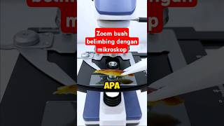 Zoom belimbing dengan mikroskop [upl. by Anhej]