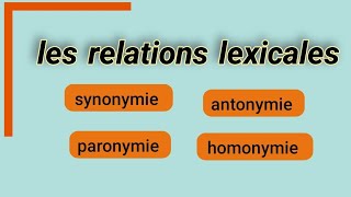 les relations lexicales synonymie antonymie  paronymie  homonymie [upl. by Ardekan]